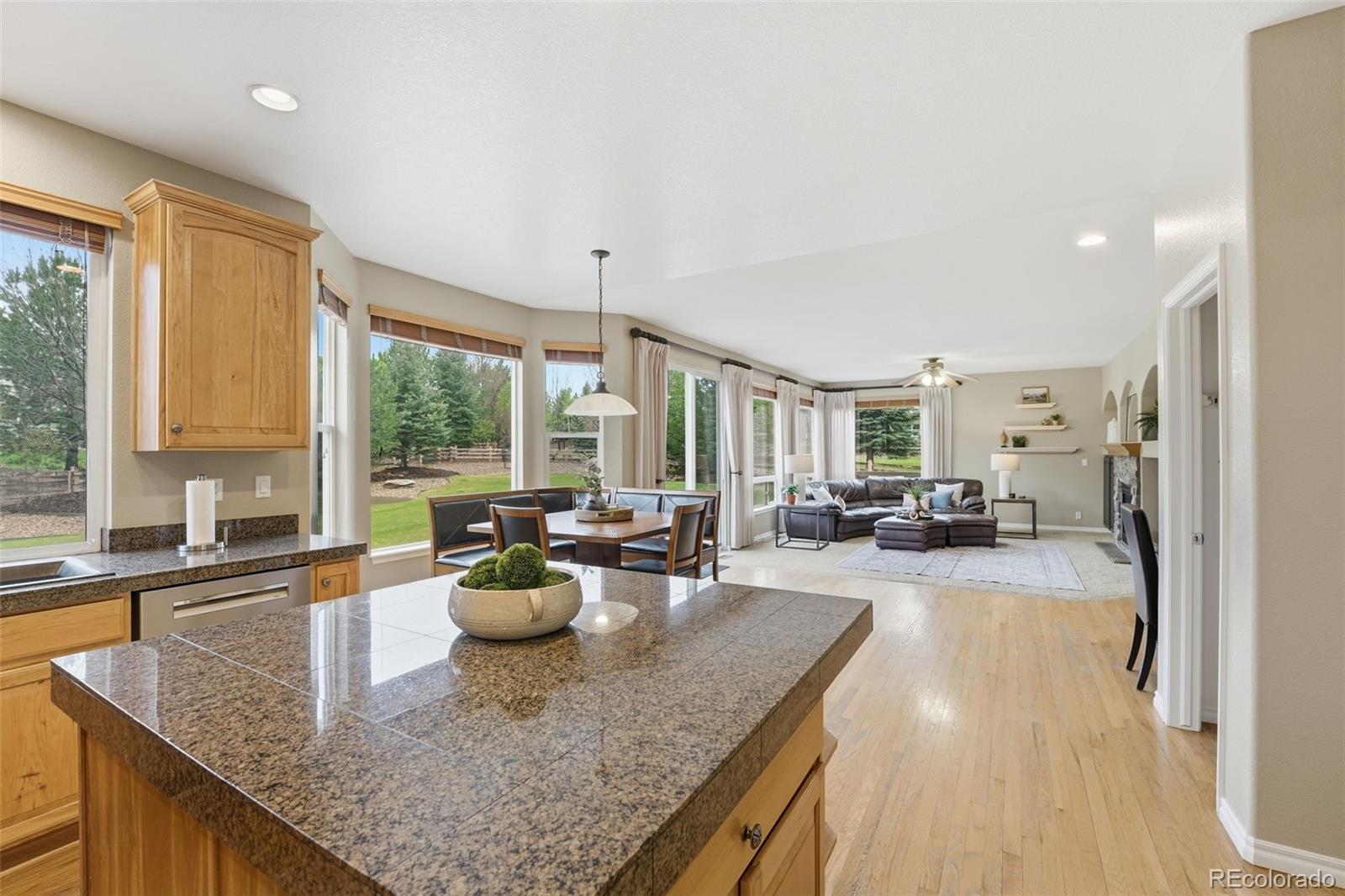 MLS Image #10 for 5290  spur cross trail,parker, Colorado