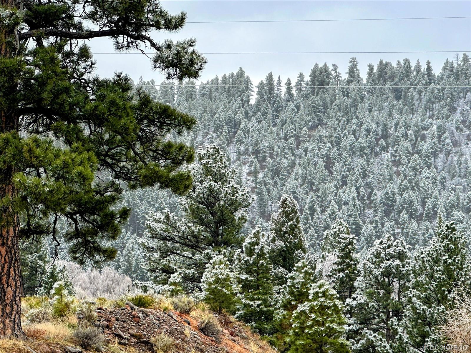 MLS Image #17 for 394  tixier ramirez circle,antonito, Colorado
