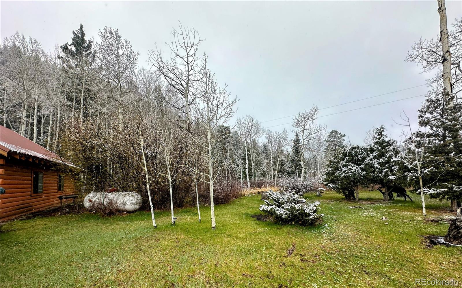 MLS Image #22 for 394  tixier ramirez circle,antonito, Colorado