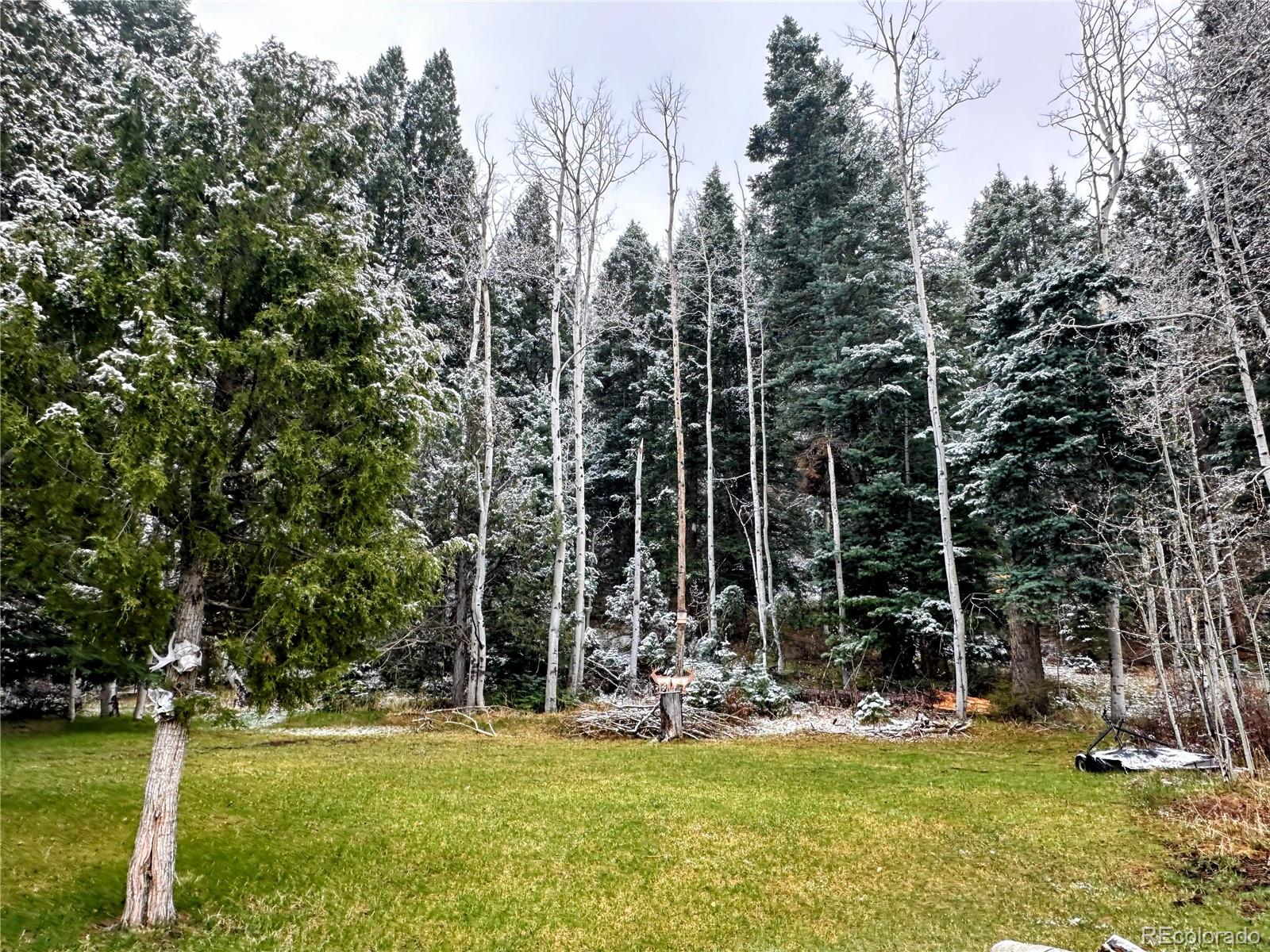 MLS Image #26 for 394  tixier ramirez circle,antonito, Colorado