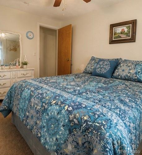 MLS Image #9 for 394  tixier ramirez circle,antonito, Colorado