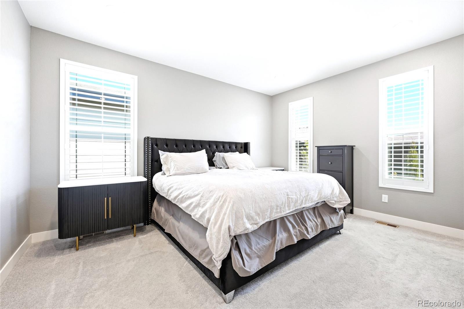 MLS Image #19 for 7010  sagerock road,castle pines, Colorado