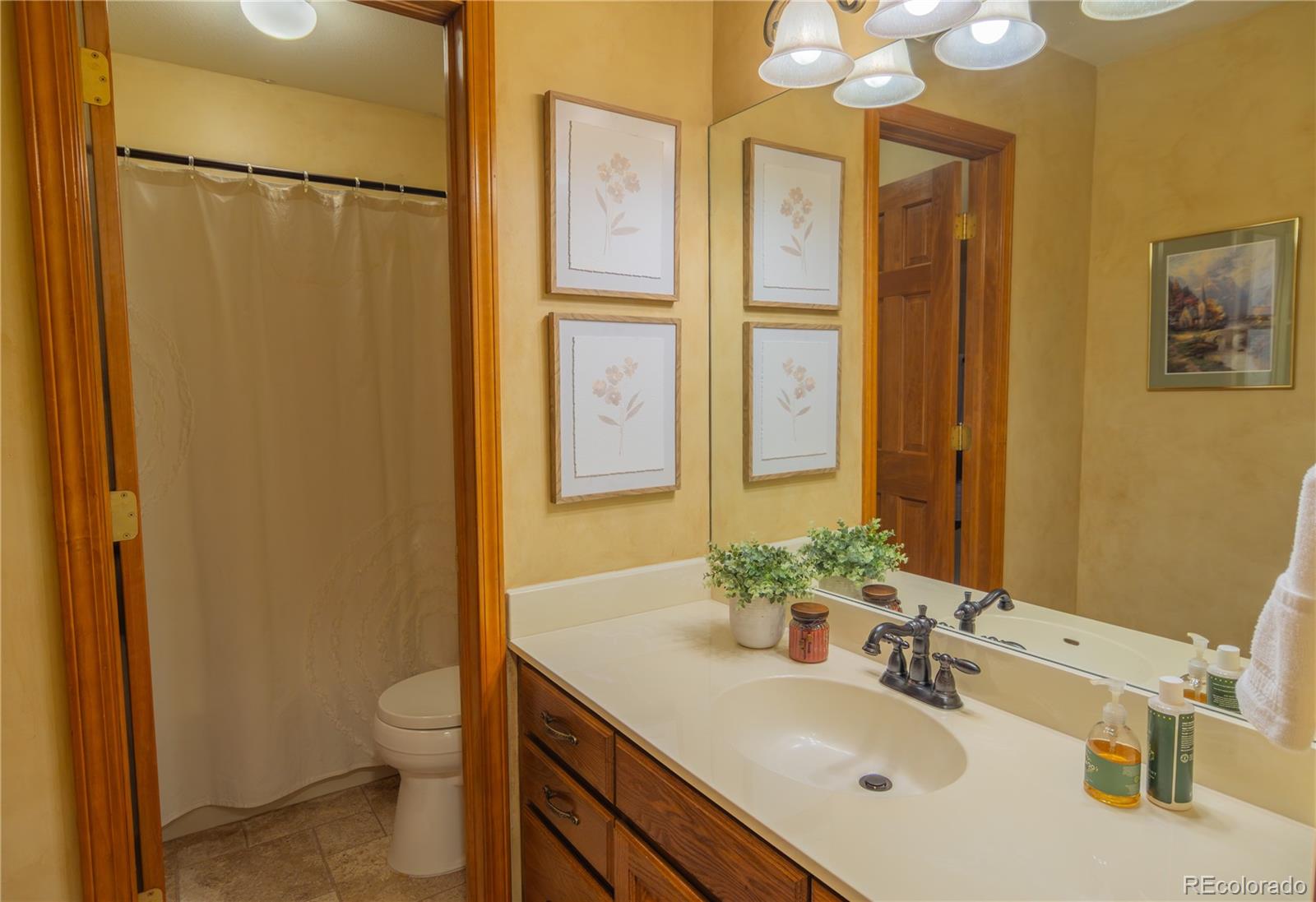 MLS Image #28 for 2310  biltmore court,colorado springs, Colorado