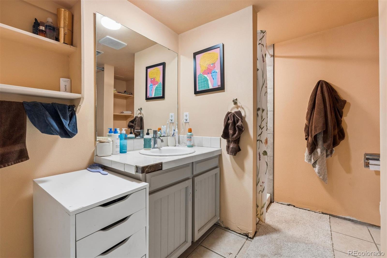 MLS Image #16 for 3000  regatta lane,fort collins, Colorado