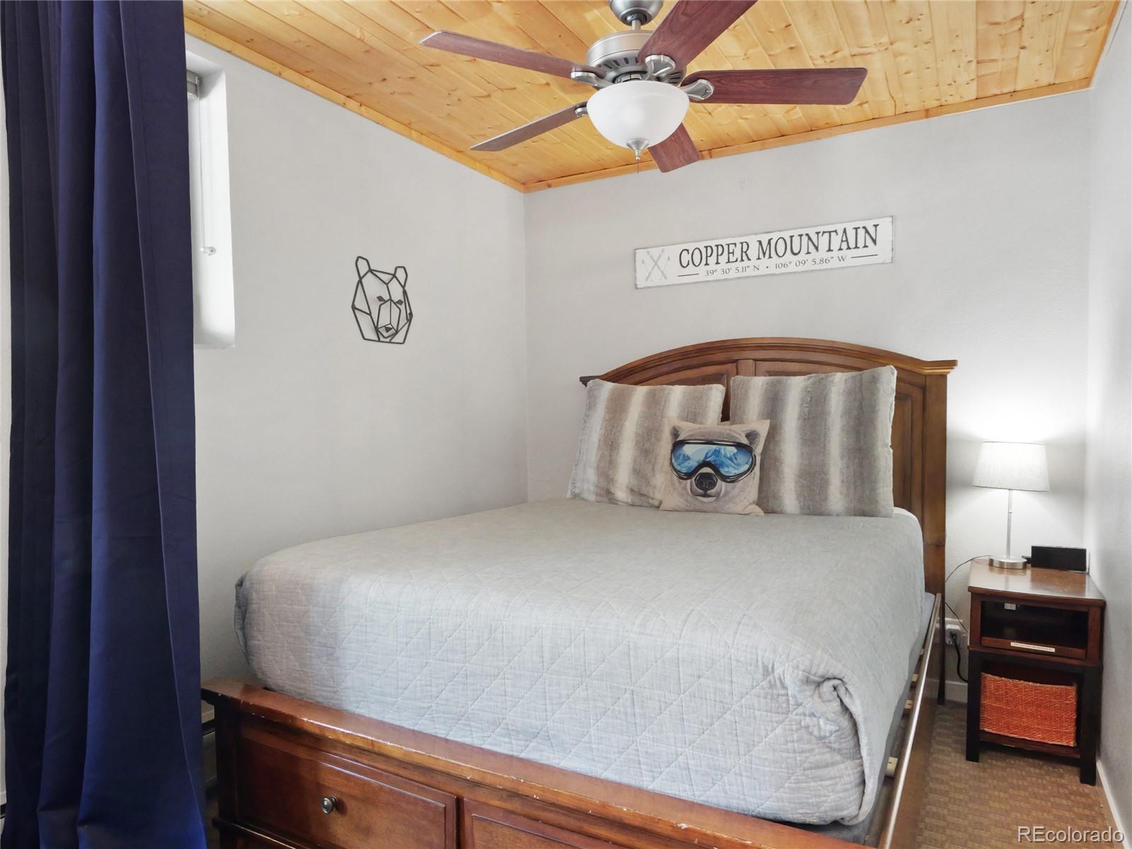 MLS Image #10 for 800  copper road,frisco, Colorado
