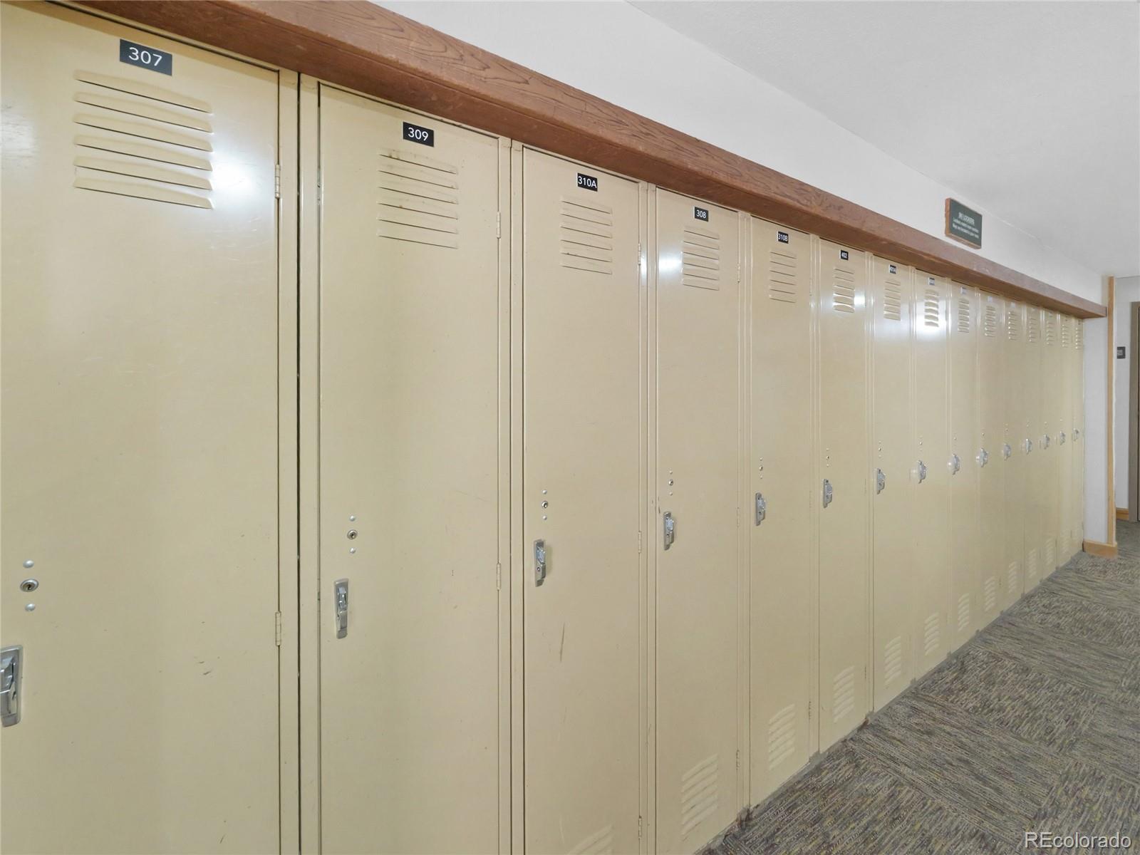 MLS Image #23 for 800  copper road,frisco, Colorado