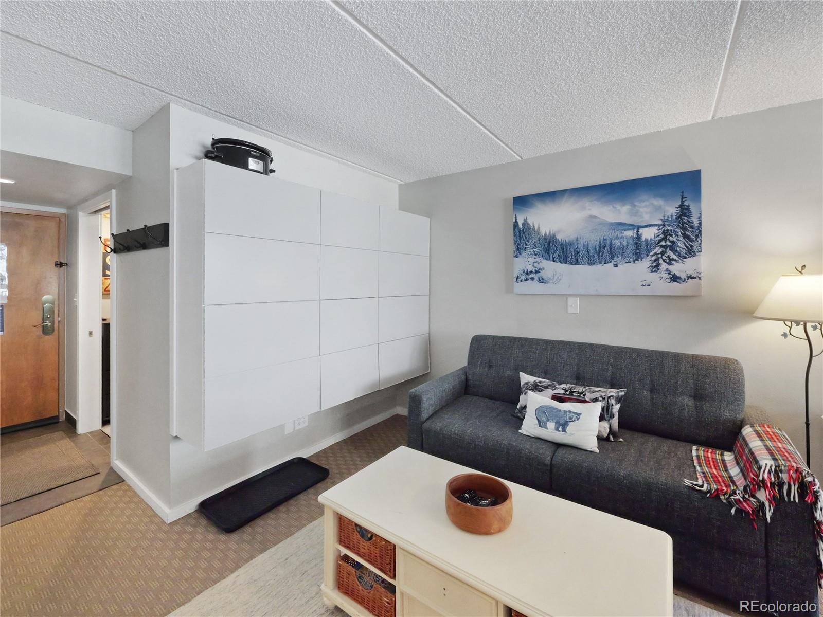 MLS Image #4 for 800  copper road,frisco, Colorado
