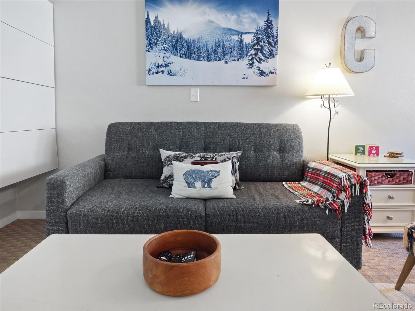 MLS Image #5 for 800  copper road,frisco, Colorado