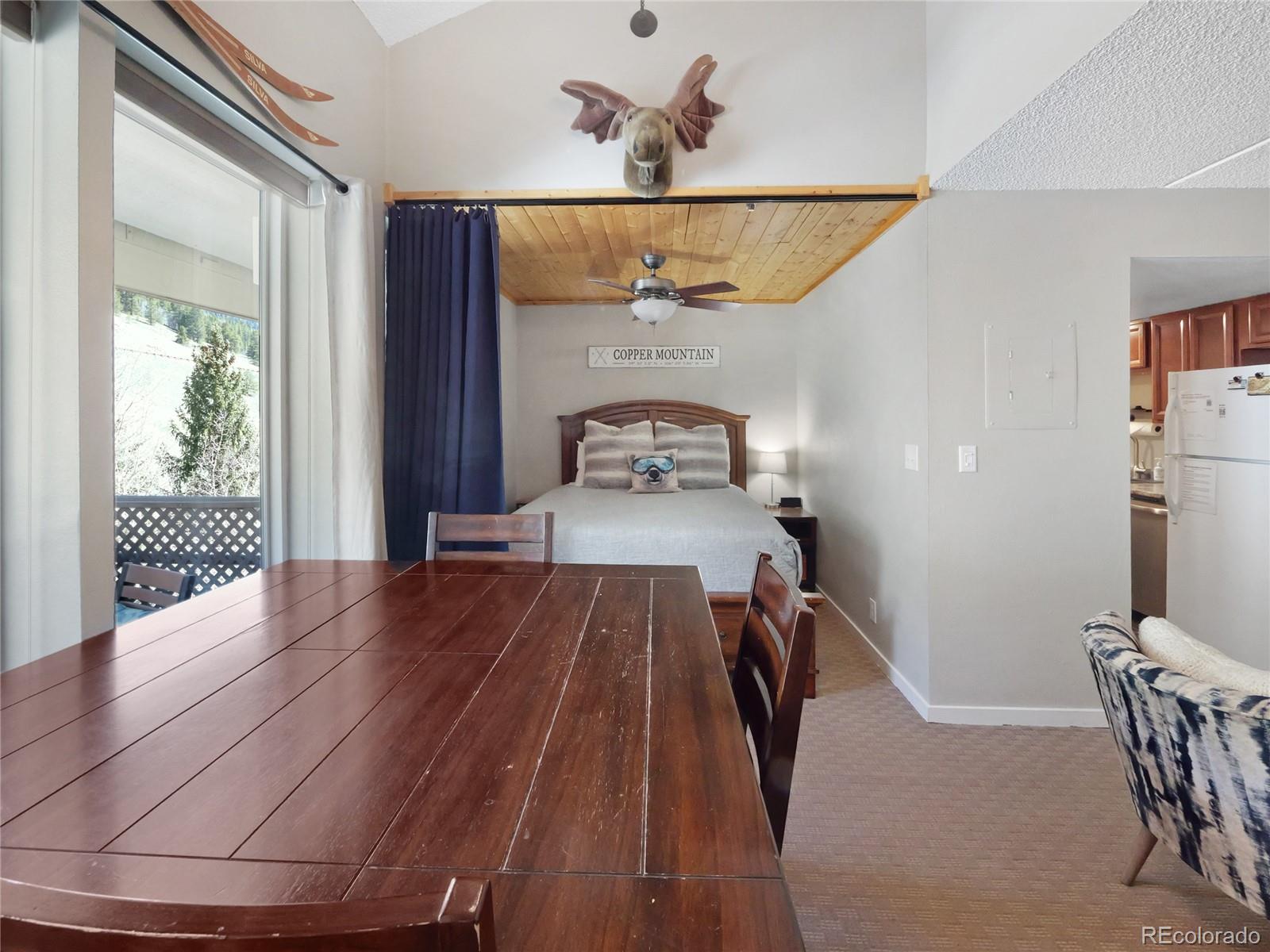 MLS Image #9 for 800  copper road,frisco, Colorado