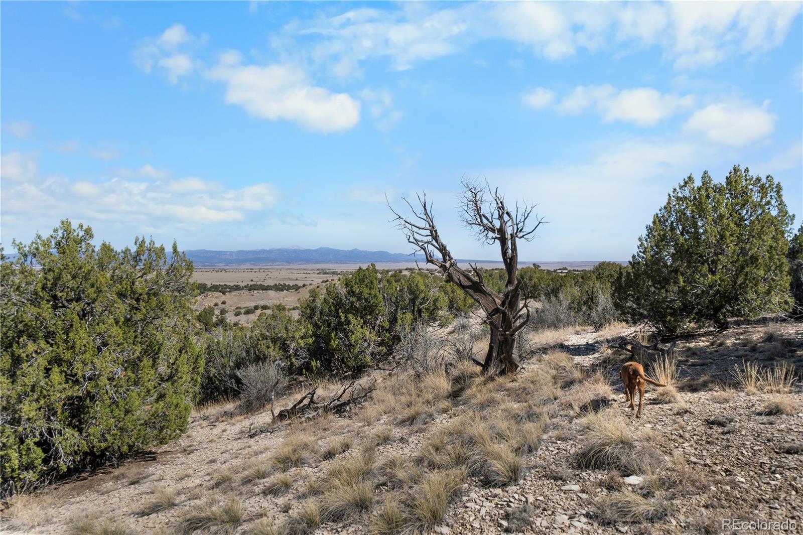 MLS Image #40 for 965  newton road,pueblo, Colorado