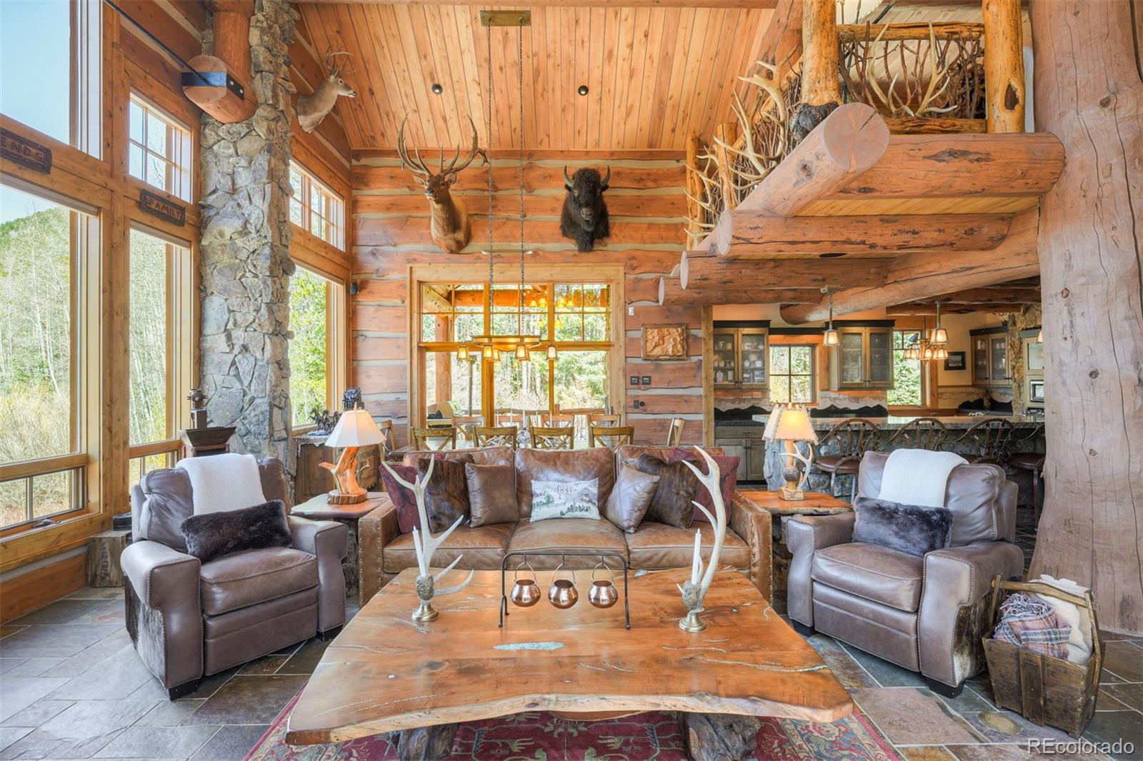 MLS Image #10 for 250  buckeye creek road,leadville, Colorado