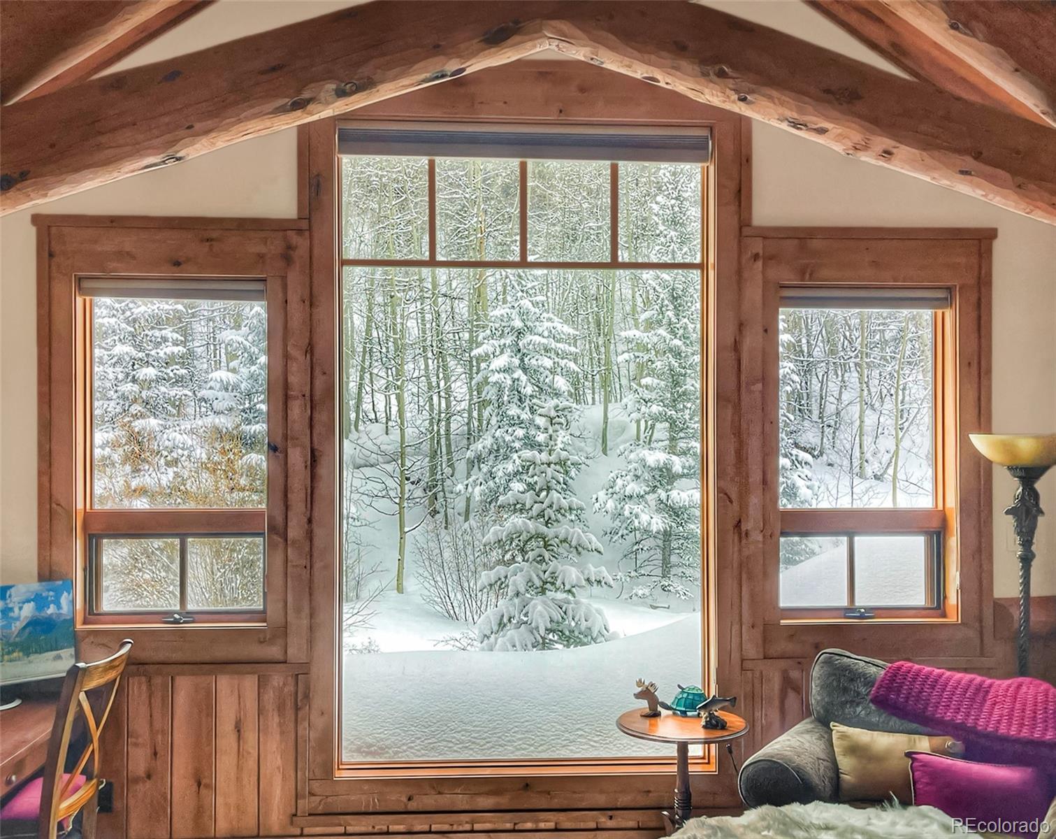 MLS Image #16 for 250  buckeye creek road,leadville, Colorado