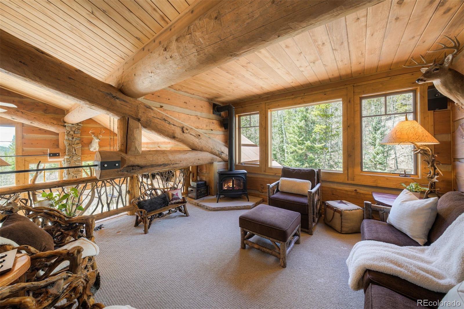 MLS Image #23 for 250  buckeye creek road,leadville, Colorado
