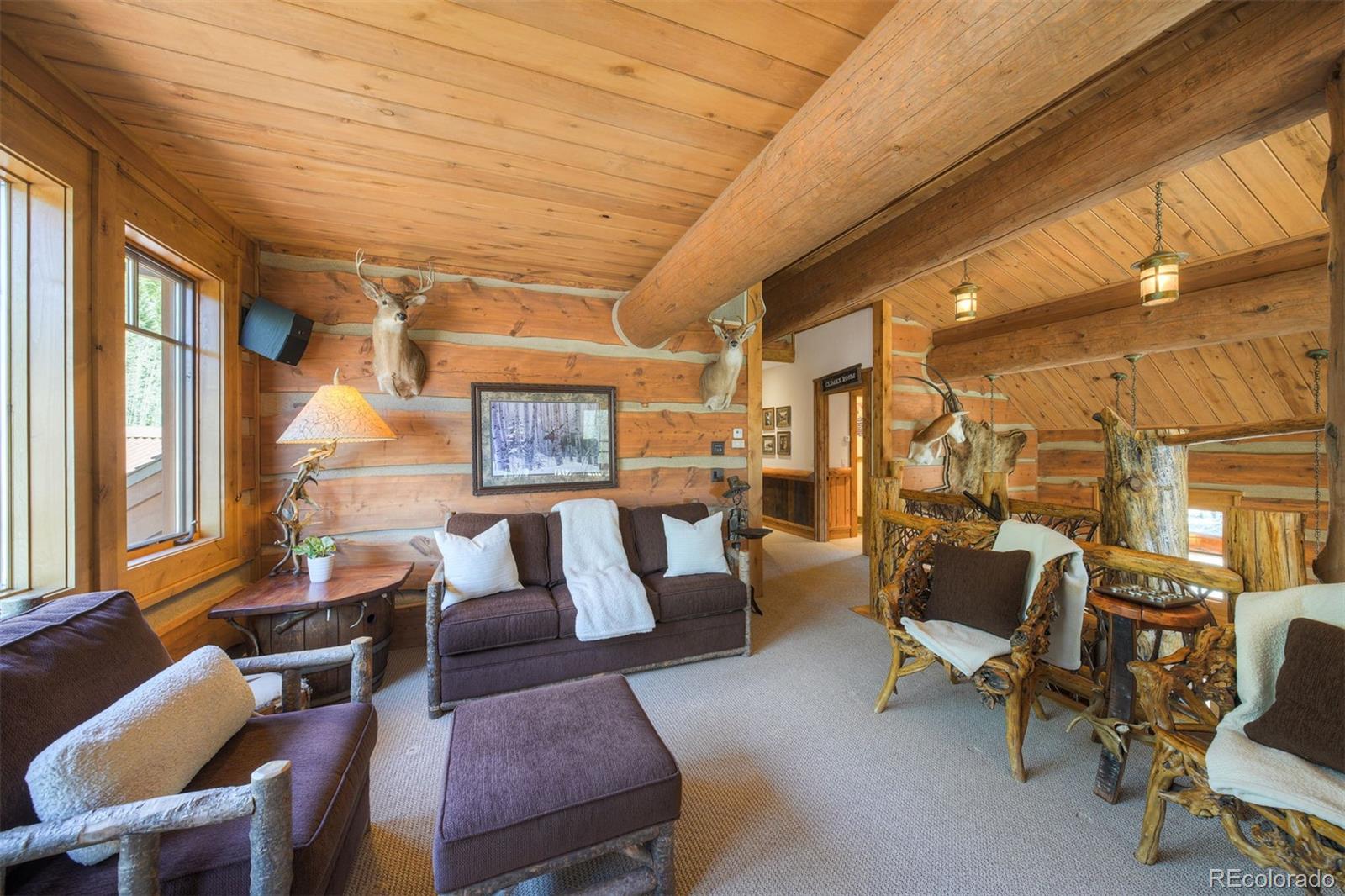 MLS Image #24 for 250  buckeye creek road,leadville, Colorado