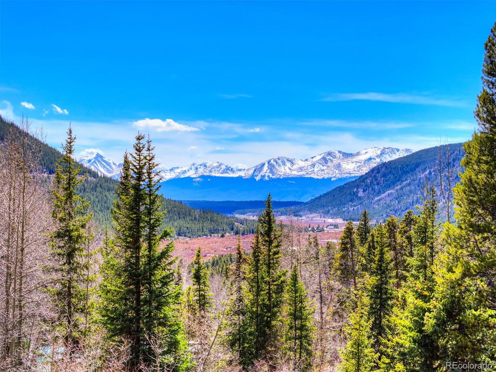 MLS Image #27 for 250  buckeye creek road,leadville, Colorado