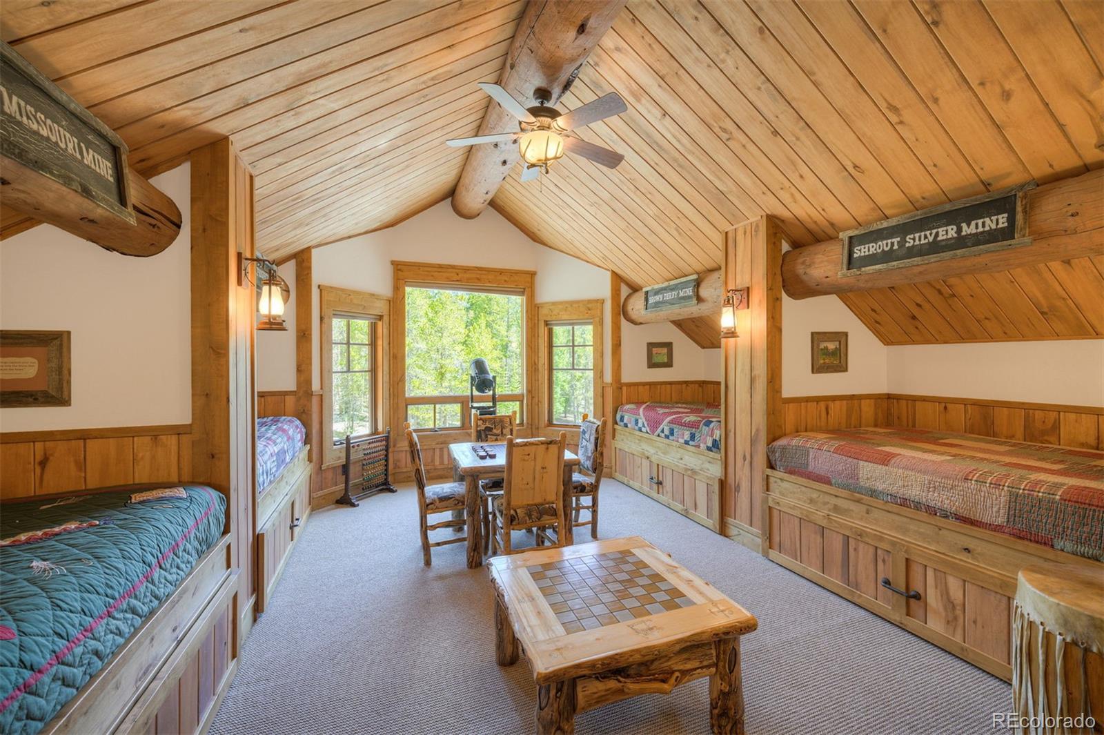MLS Image #28 for 250  buckeye creek road,leadville, Colorado