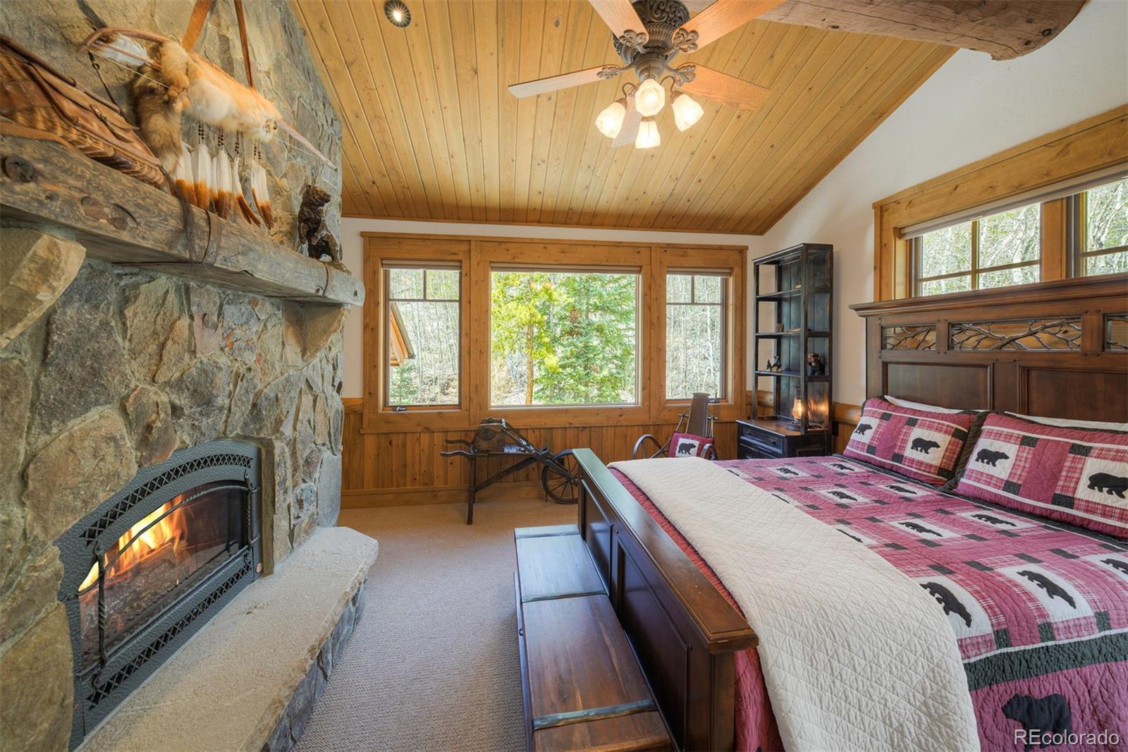 MLS Image #31 for 250  buckeye creek road,leadville, Colorado