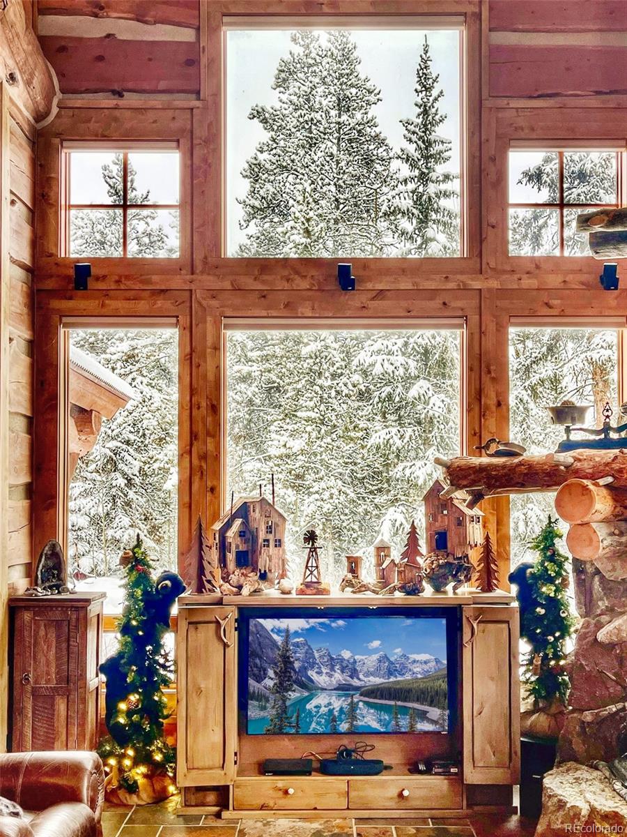 MLS Image #41 for 250  buckeye creek road,leadville, Colorado