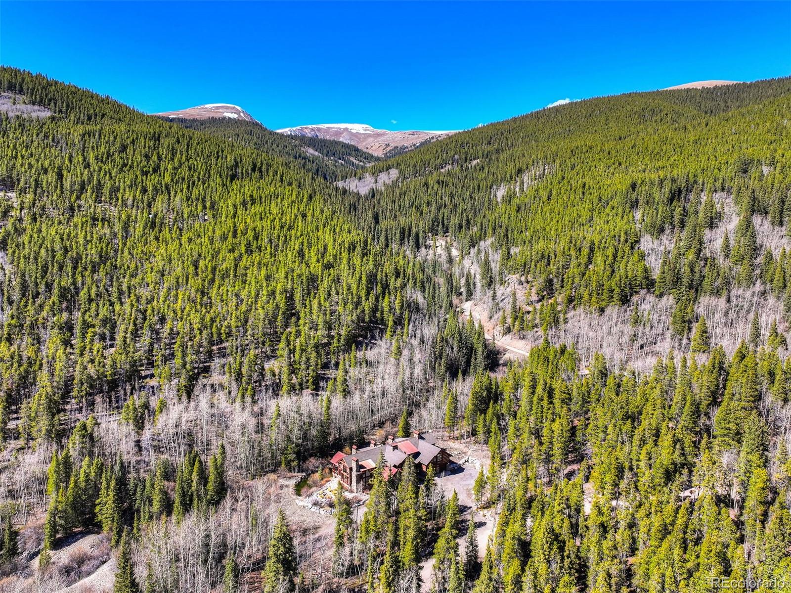 MLS Image #42 for 250  buckeye creek road,leadville, Colorado