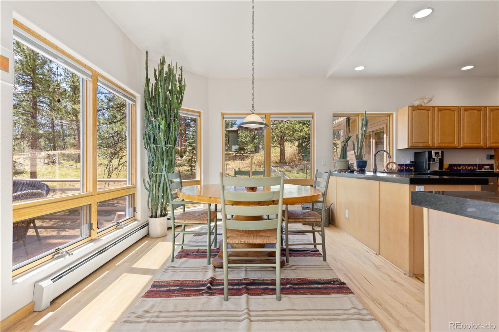 MLS Image #10 for 302  cottonwood drive,evergreen, Colorado