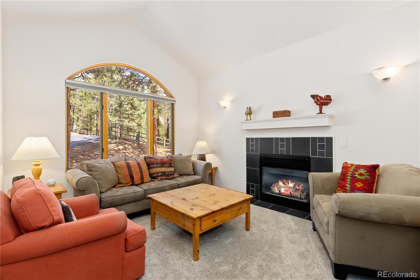 MLS Image #12 for 302  cottonwood drive,evergreen, Colorado
