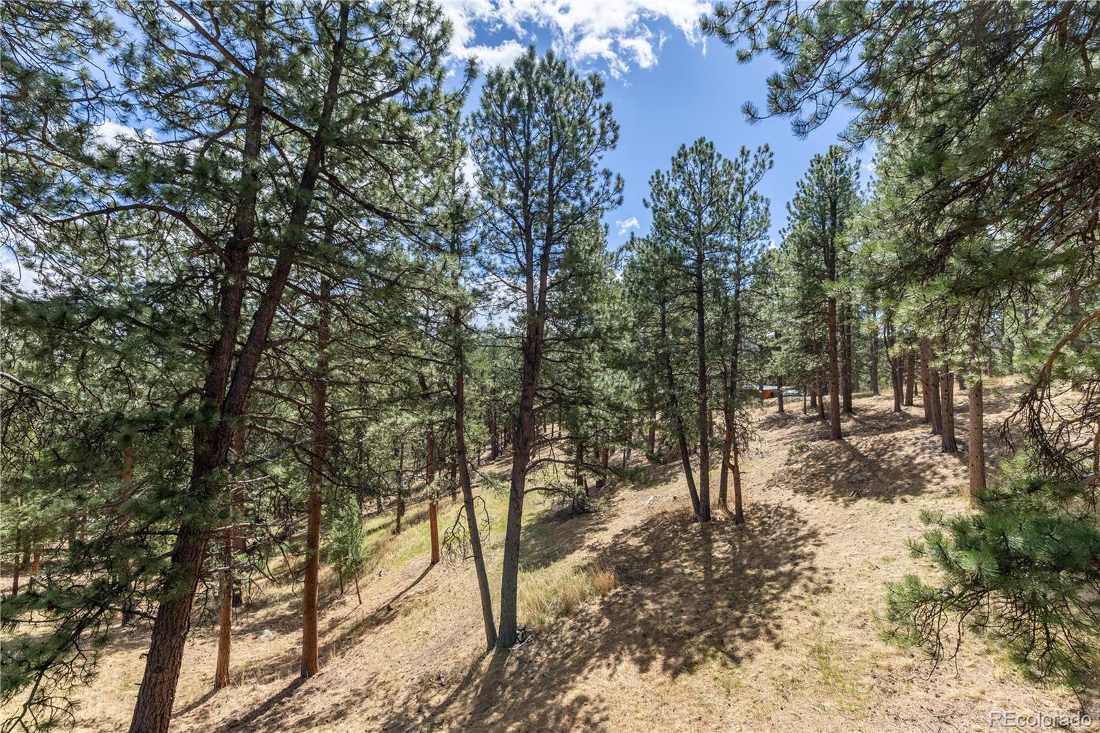 MLS Image #3 for 302  cottonwood drive,evergreen, Colorado