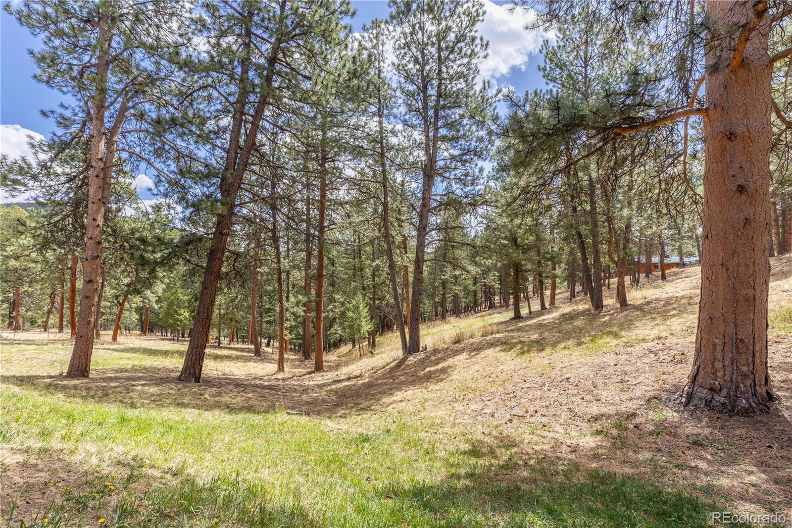MLS Image #39 for 302  cottonwood drive,evergreen, Colorado