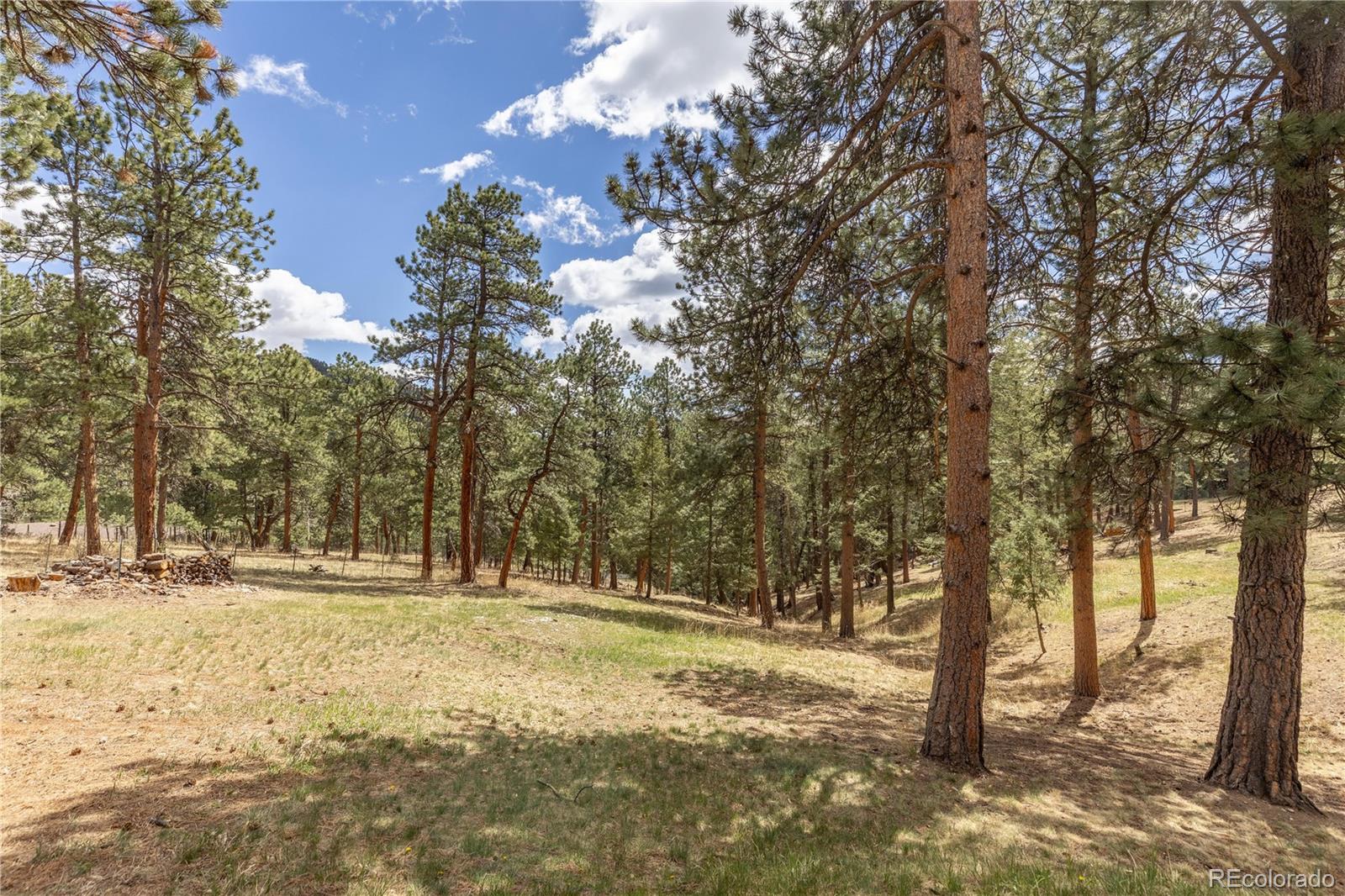 MLS Image #40 for 302  cottonwood drive,evergreen, Colorado
