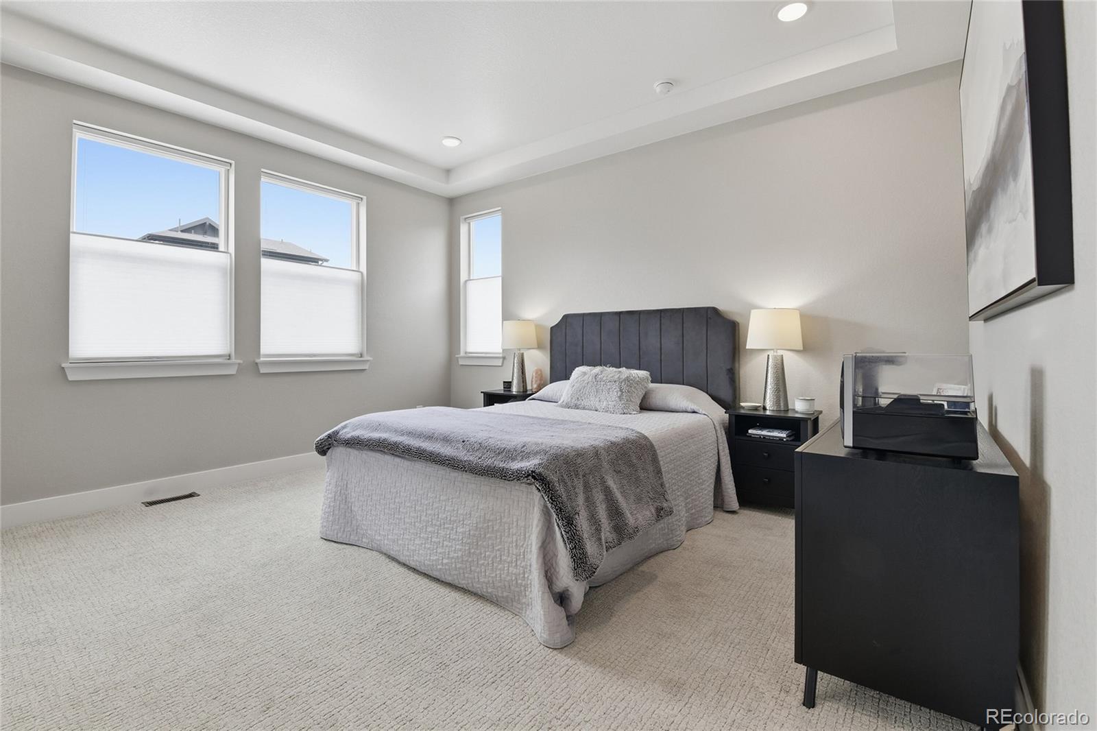 MLS Image #9 for 8697  middle fork street,littleton, Colorado
