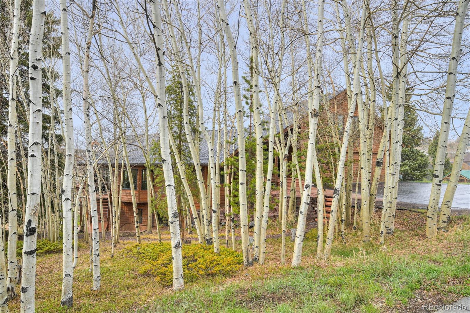 MLS Image #44 for 324 w buffalo street,dillon, Colorado