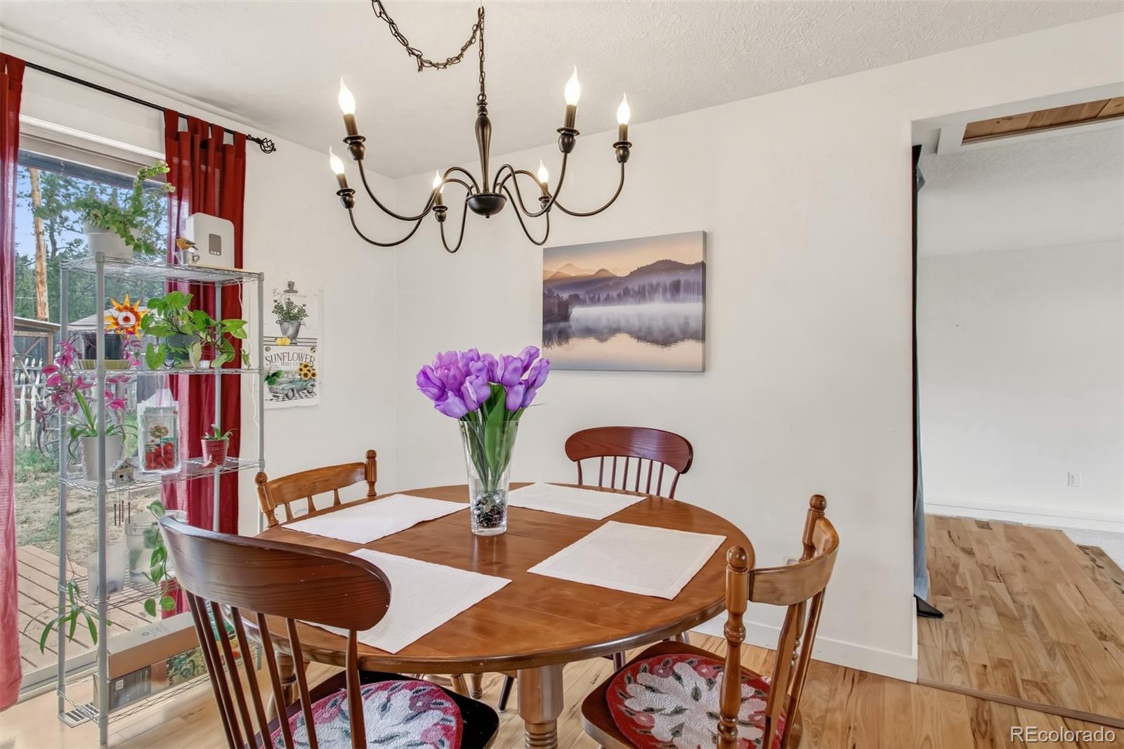 MLS Image #11 for 1217  michael lane,woodland park, Colorado