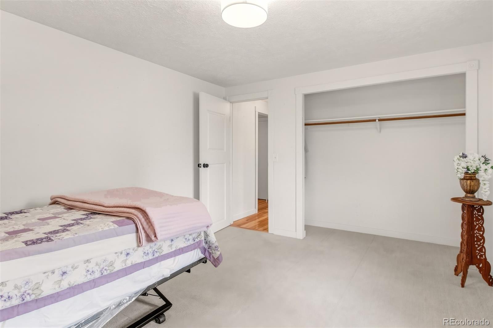 MLS Image #17 for 1217  michael lane,woodland park, Colorado