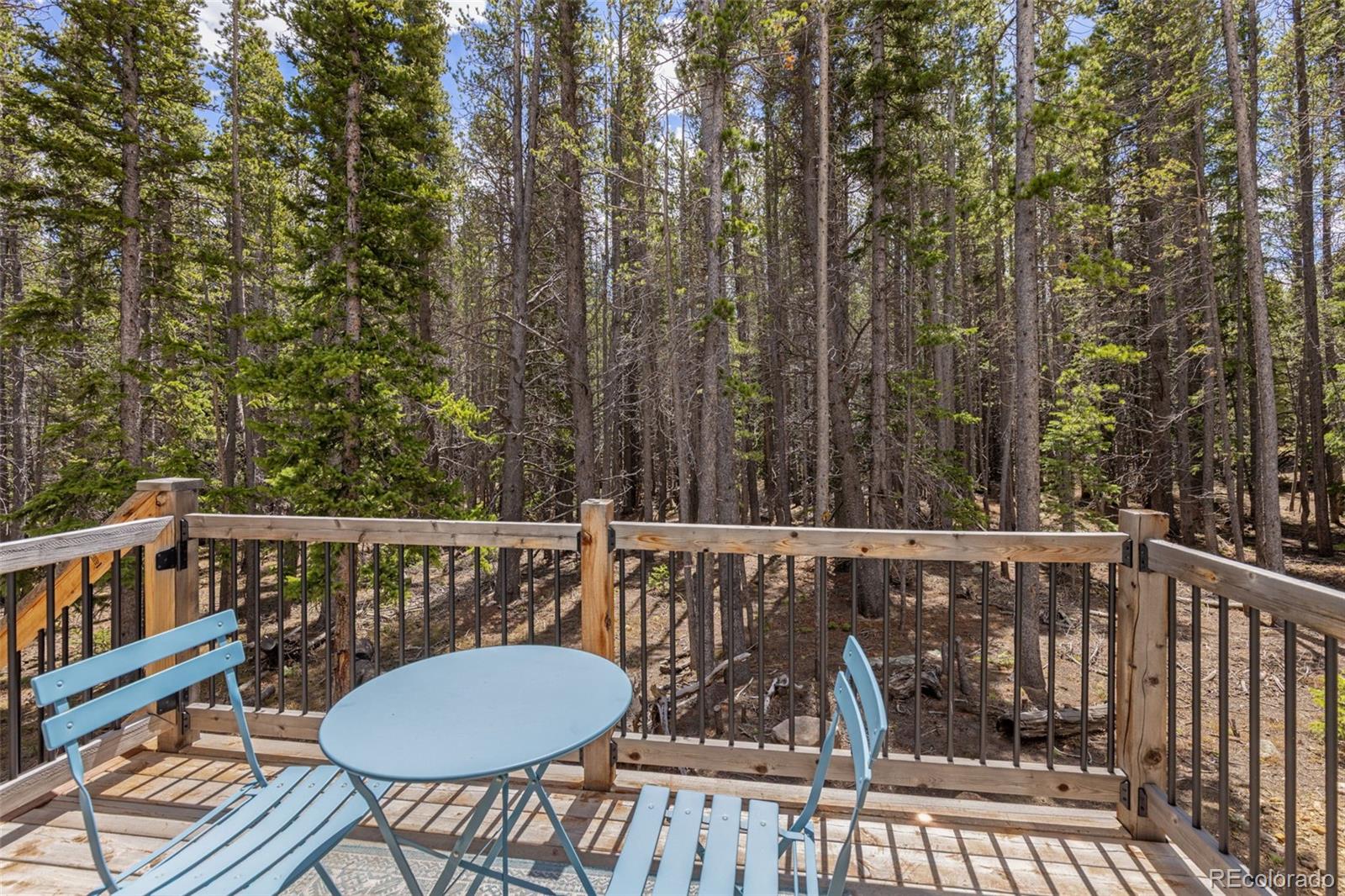 MLS Image #10 for 14  deer road,idaho springs, Colorado