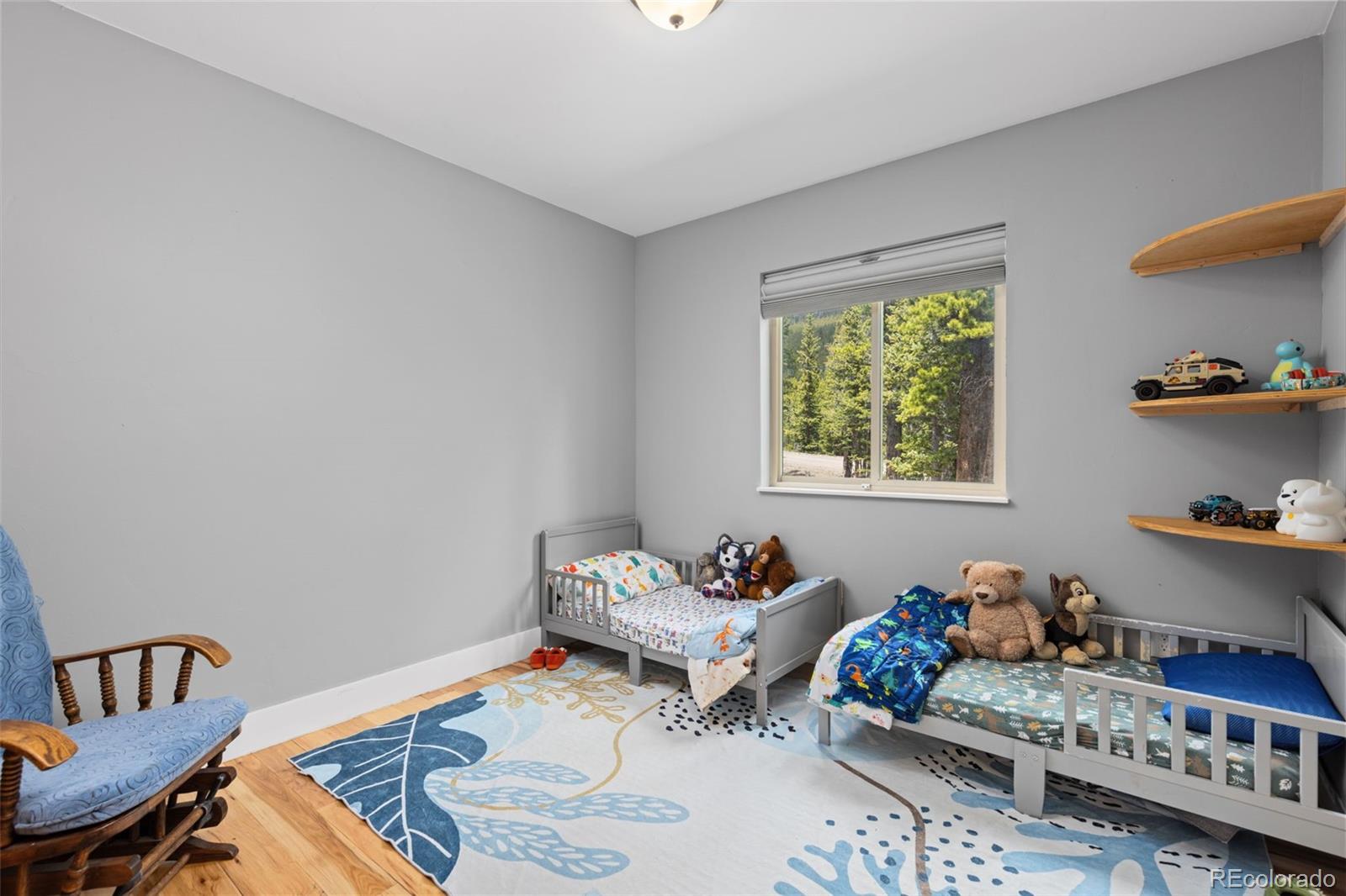 MLS Image #17 for 14  deer road,idaho springs, Colorado