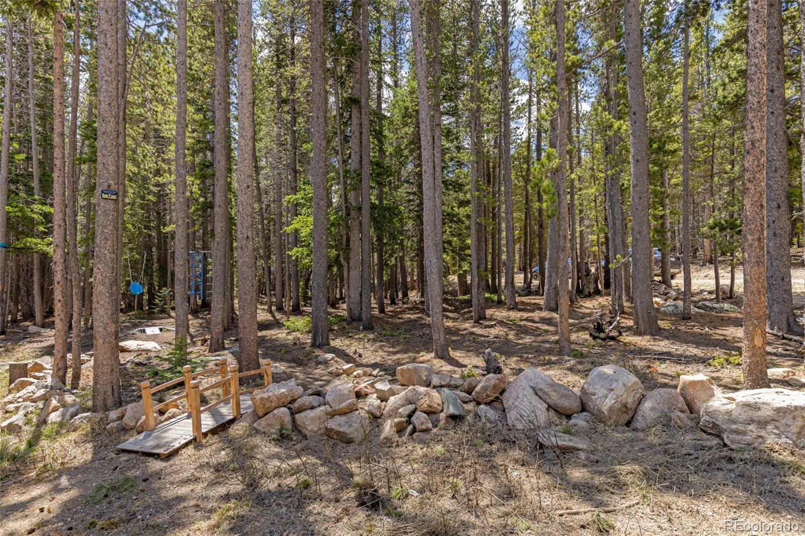 MLS Image #29 for 14  deer road,idaho springs, Colorado