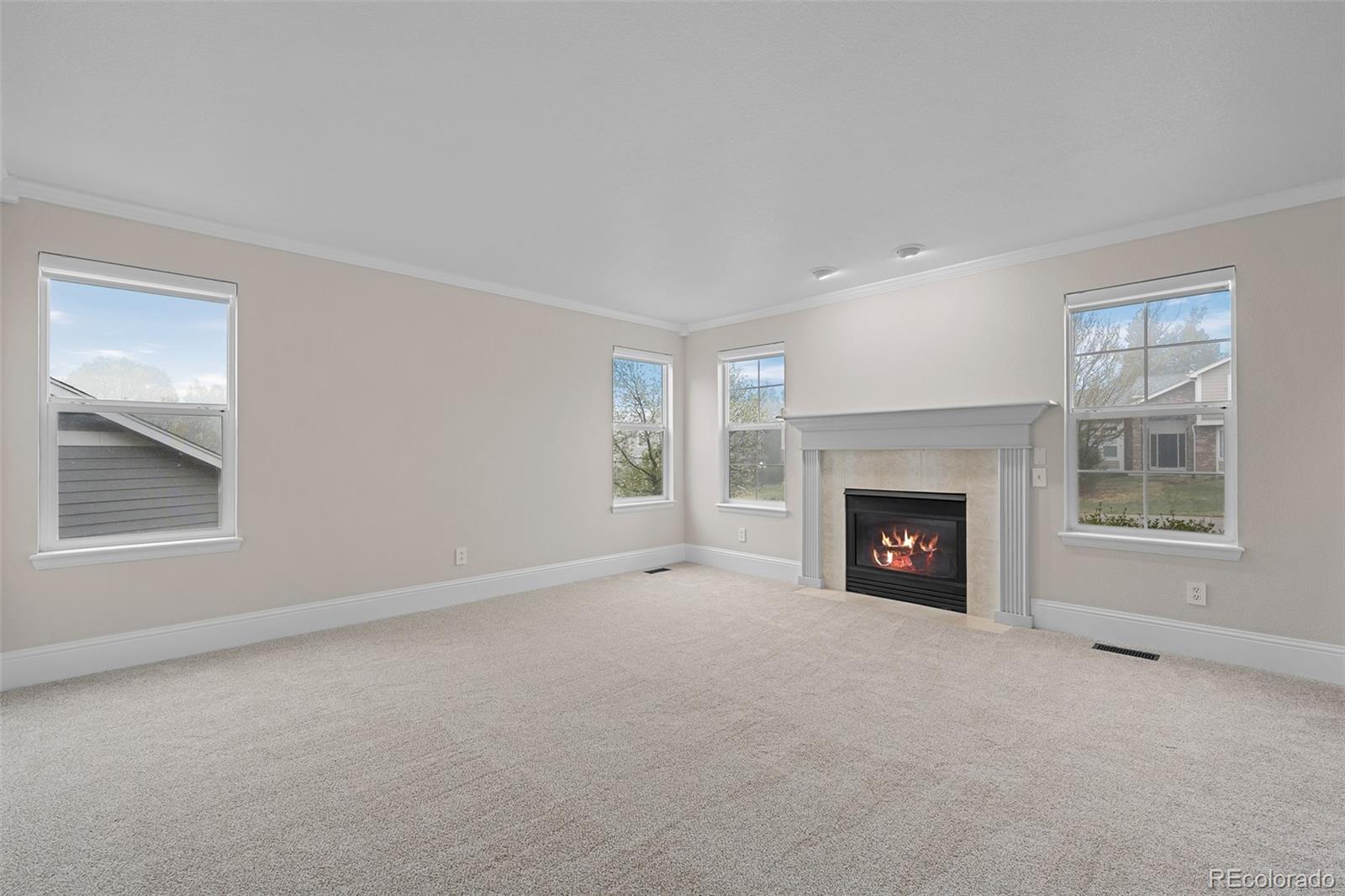 MLS Image #5 for 7837  aravon court,lone tree, Colorado