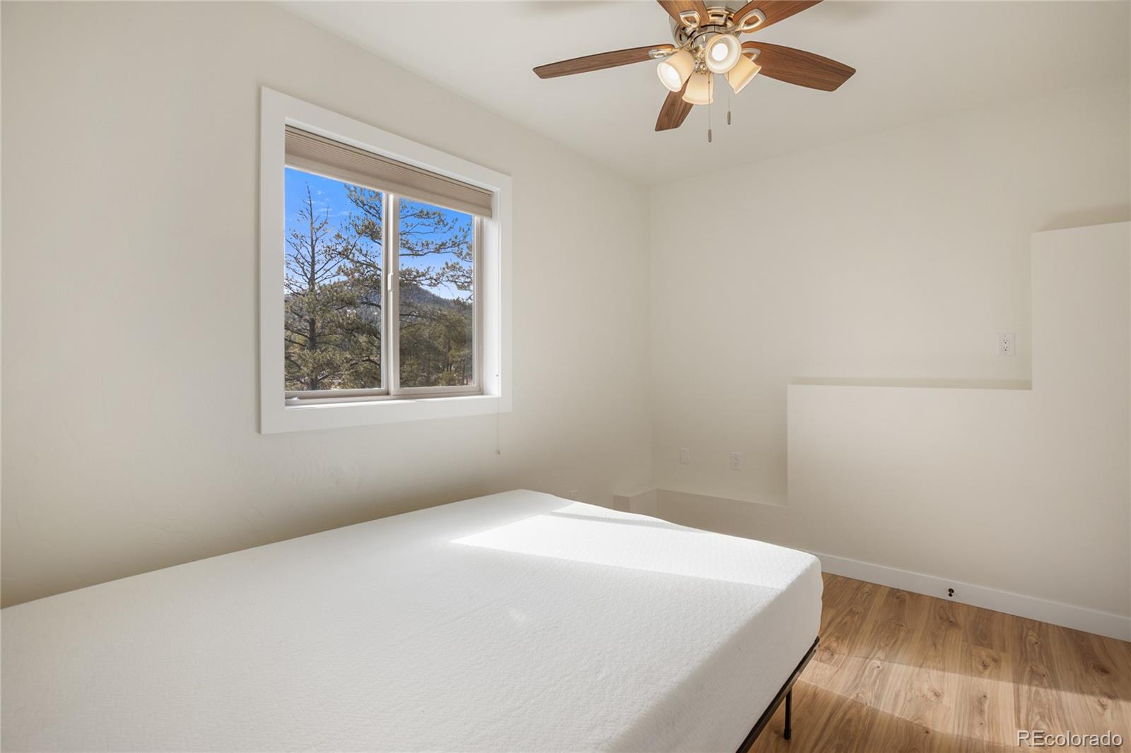 MLS Image #33 for 142  hackamore drive,florissant, Colorado