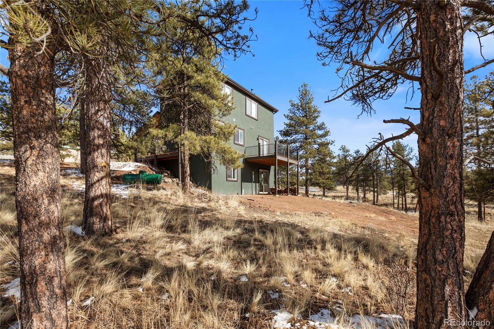 MLS Image #4 for 142  hackamore drive,florissant, Colorado