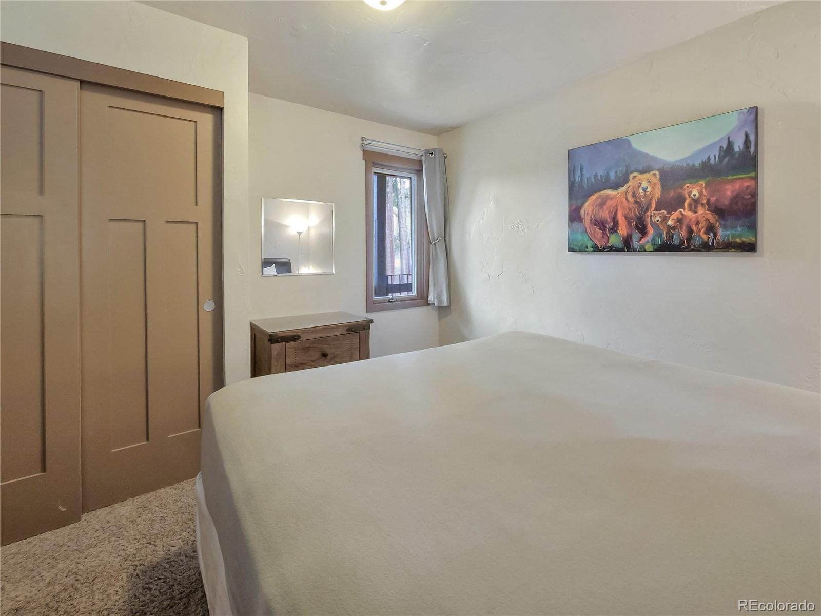 MLS Image #16 for 1173  ski hill road 125,breckenridge, Colorado