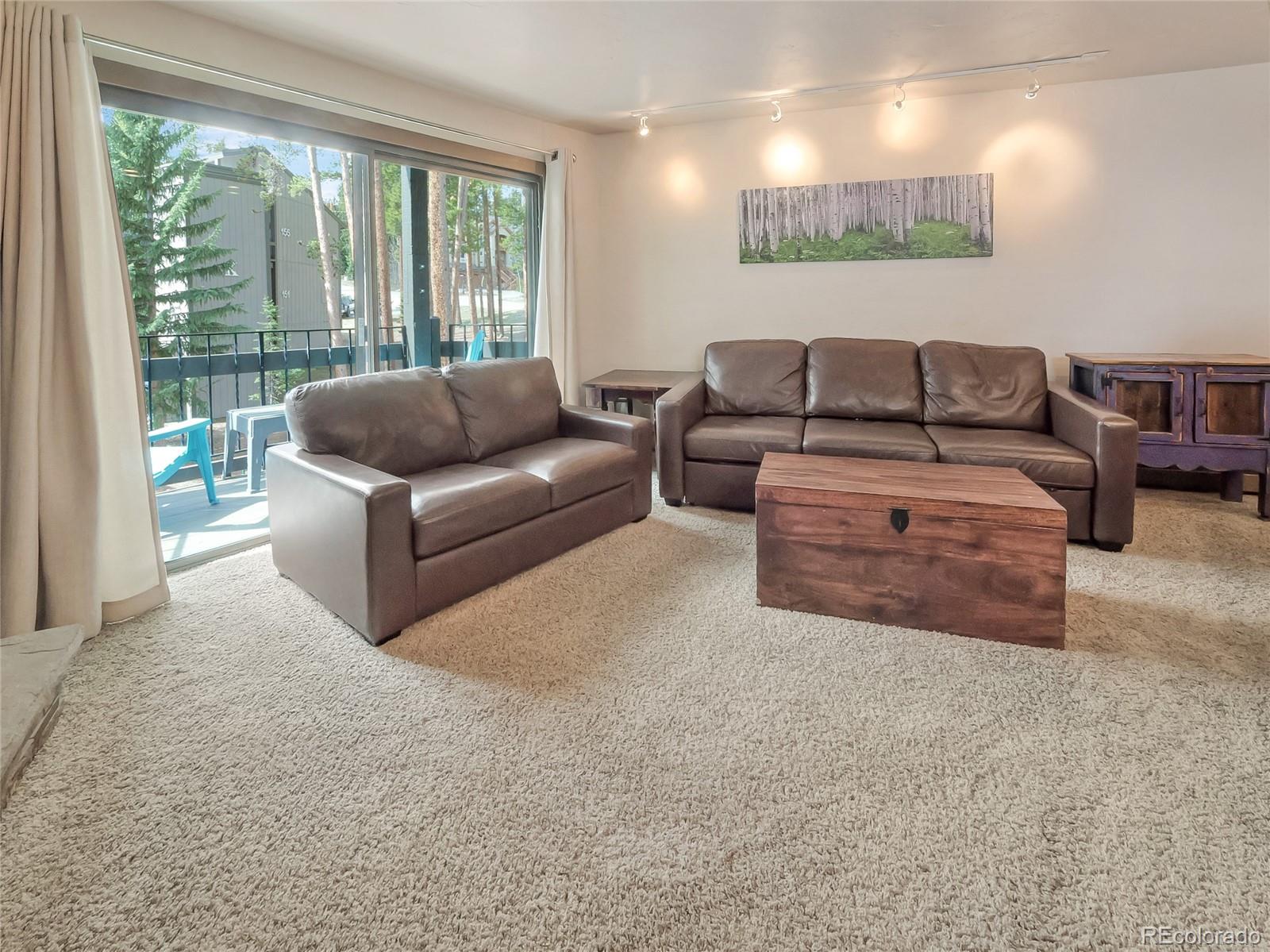 MLS Image #7 for 1173  ski hill road 125,breckenridge, Colorado