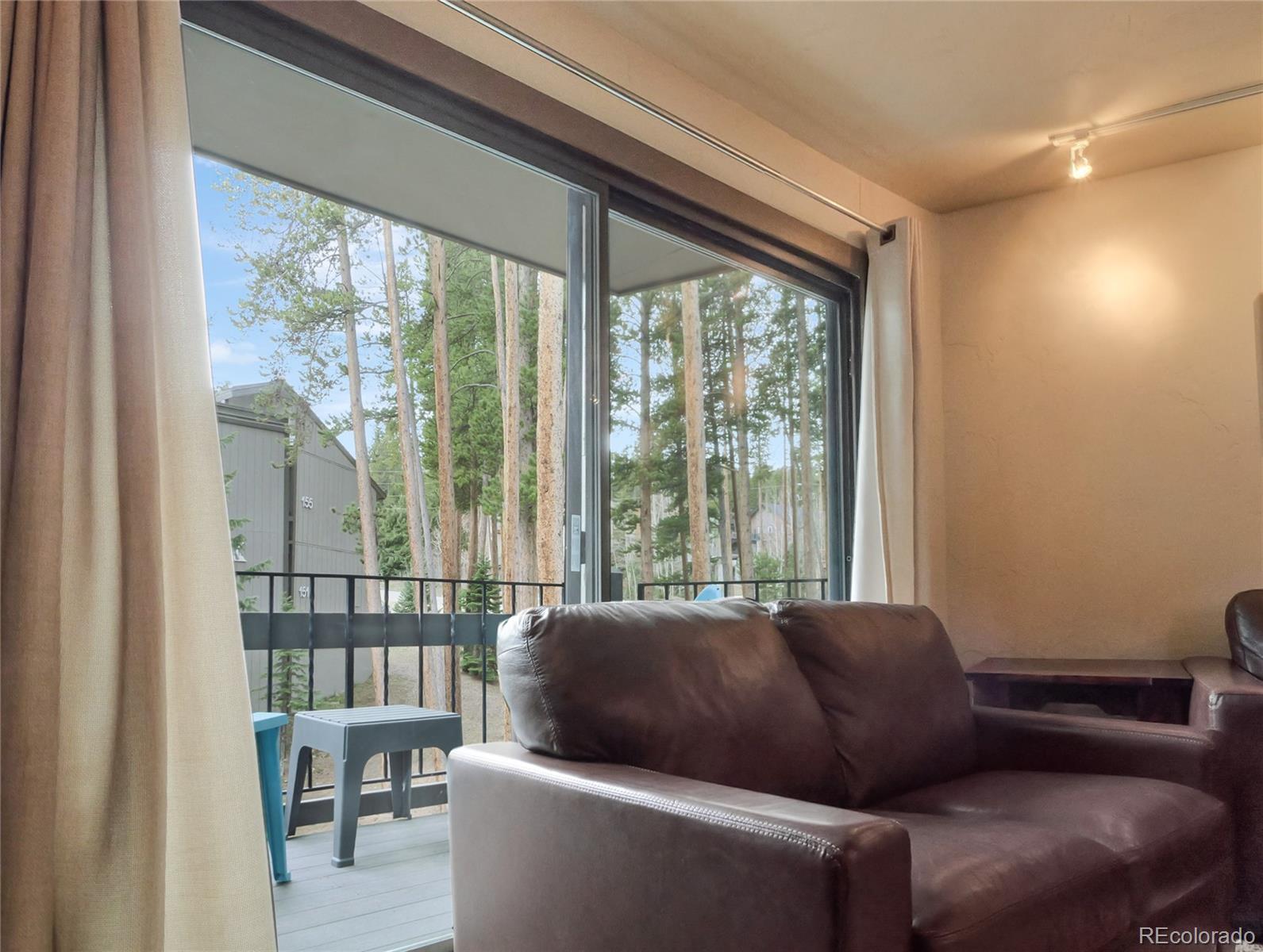 MLS Image #9 for 1173  ski hill road 125,breckenridge, Colorado