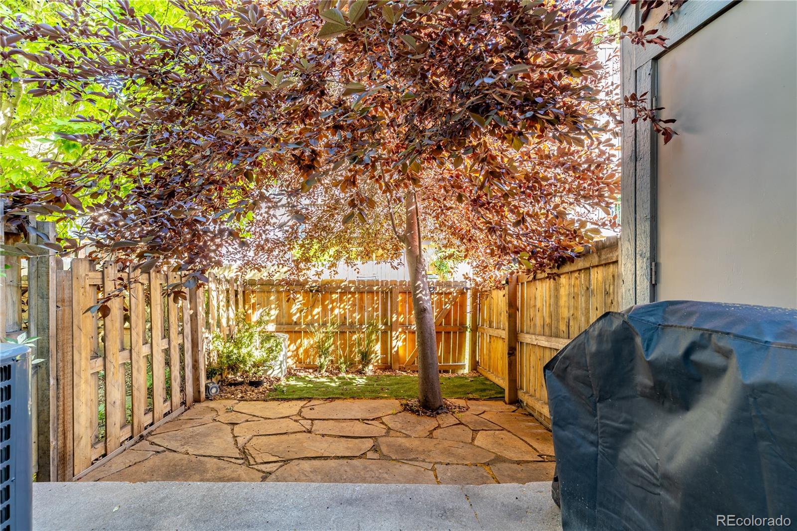 MLS Image #23 for 8066 s columbine court ,centennial, Colorado