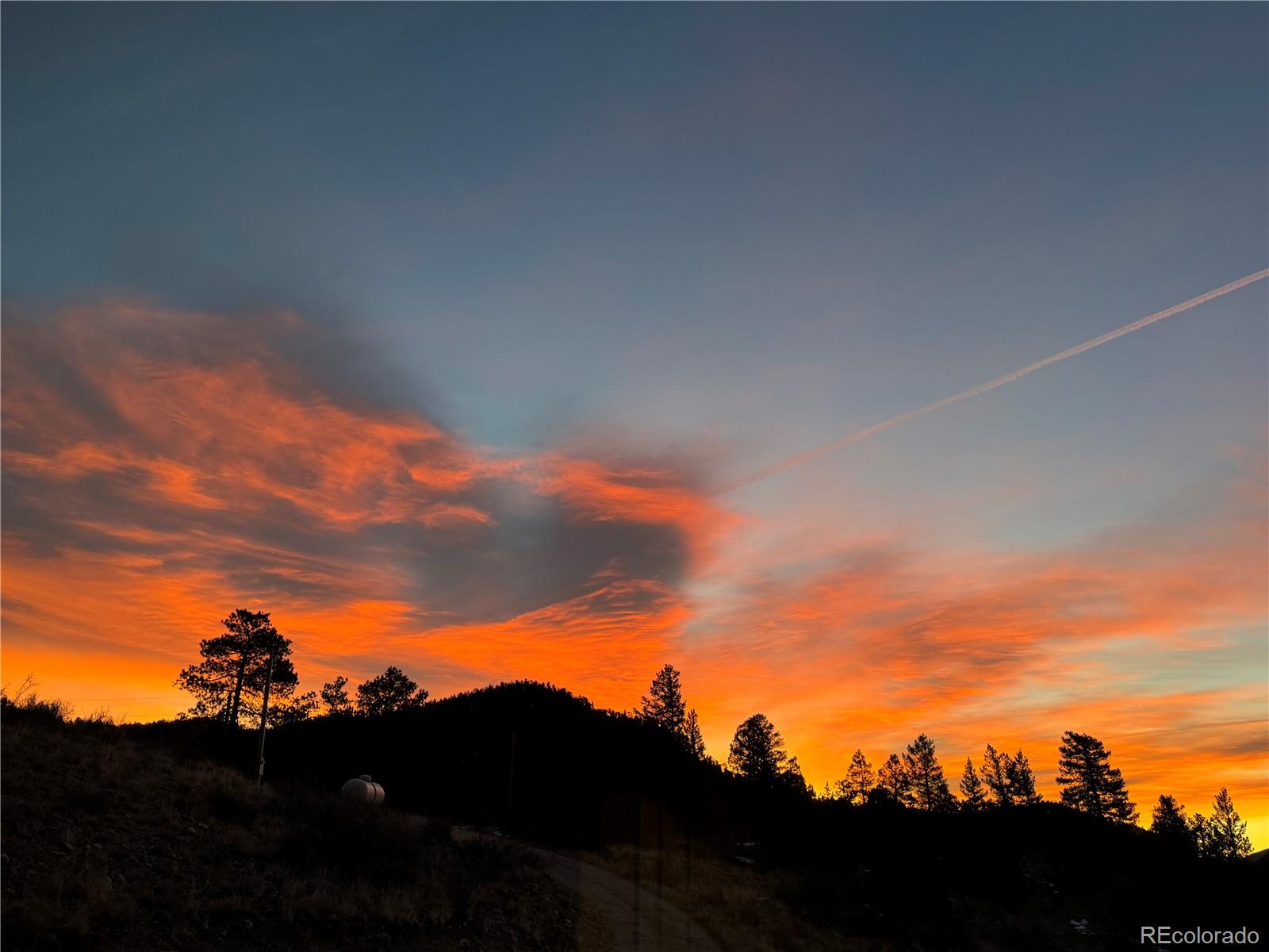 MLS Image #10 for 381  saddle lane,bailey, Colorado