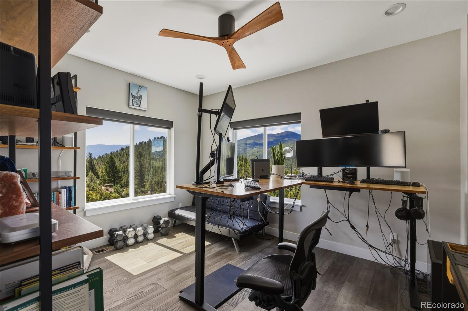 MLS Image #11 for 381  saddle lane,bailey, Colorado