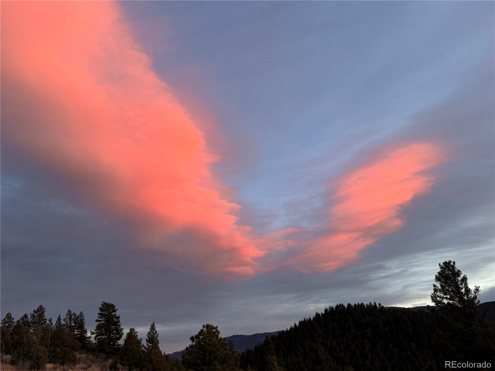 MLS Image #24 for 381  saddle lane,bailey, Colorado