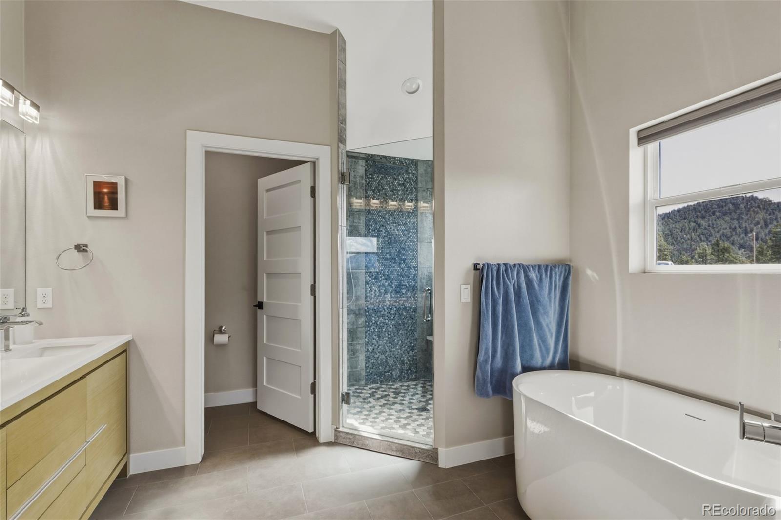 MLS Image #28 for 381  saddle lane,bailey, Colorado