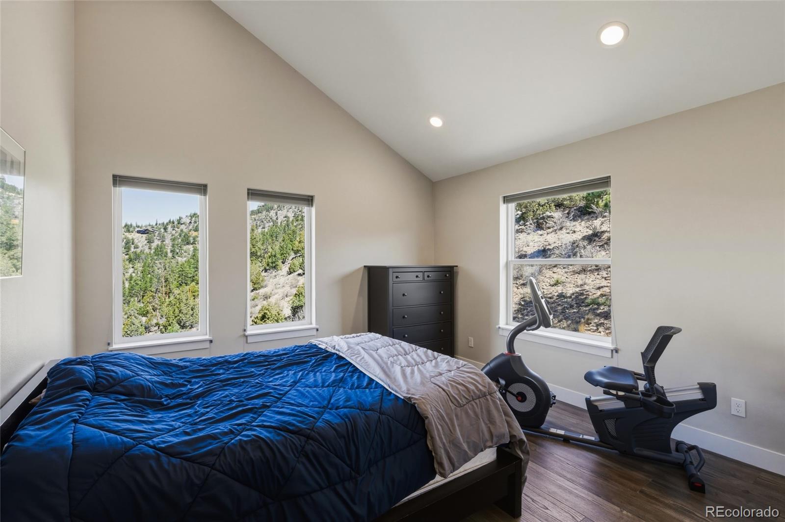 MLS Image #33 for 381  saddle lane,bailey, Colorado