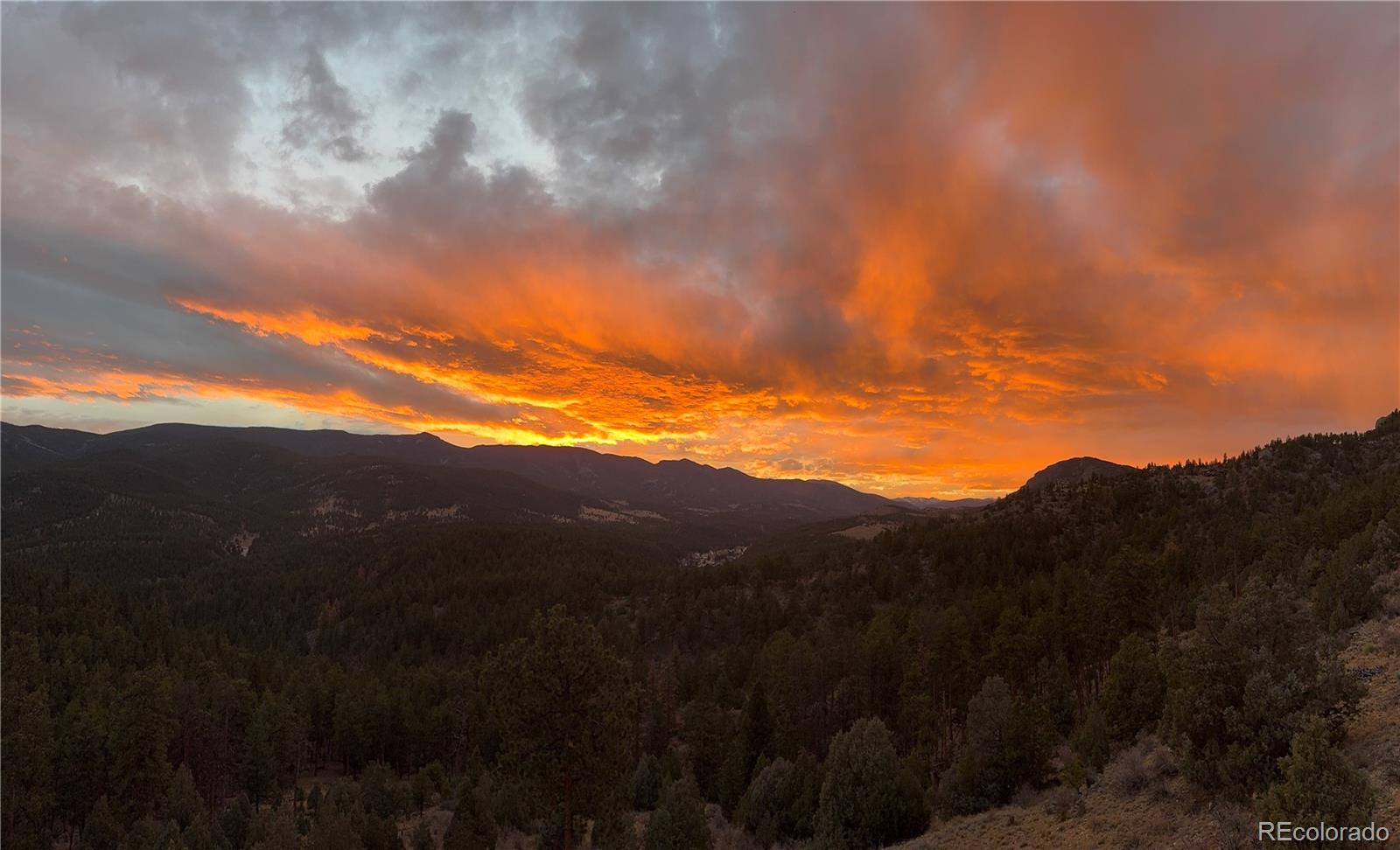 MLS Image #46 for 381  saddle lane,bailey, Colorado