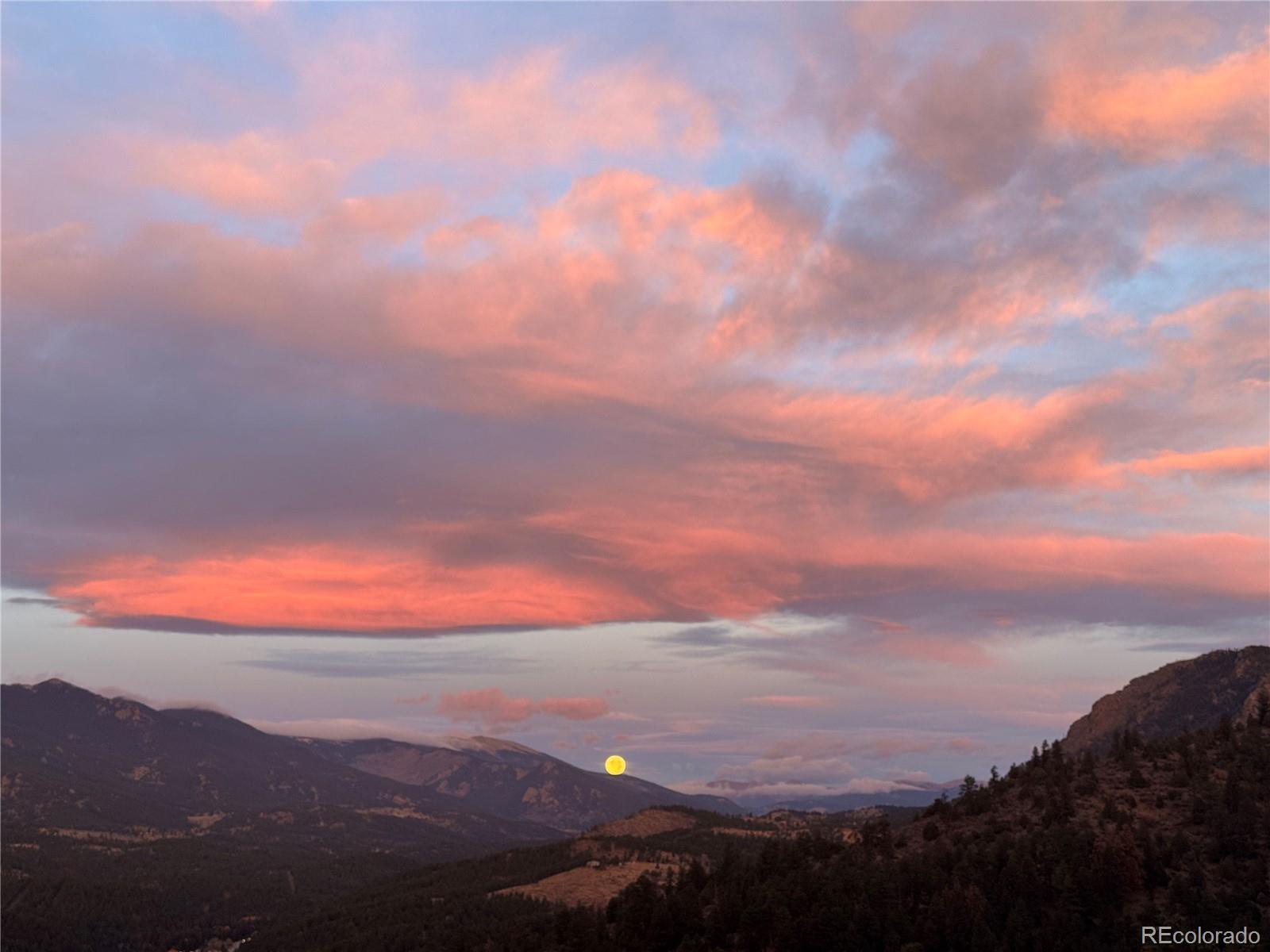 MLS Image #9 for 381  saddle lane,bailey, Colorado