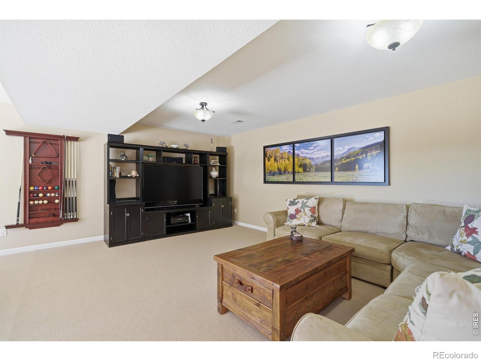 MLS Image #23 for 1075  fall river court,estes park, Colorado